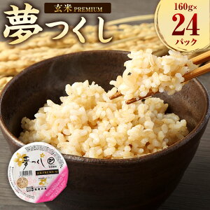 yӂ邳Ɣ[Łz  PREMIUMpbN 160g×24pbN pbN ăpbN W  pbN͂ 퉷 uh pbNCX H ۑH CX^g Y  
