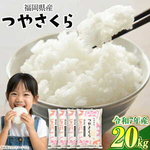yӂ邳Ɣ[ŁzIׂeʁEYNyR6NY9ŎtIzyߘa6NY/7NYzY₳ 5kg/10kg/20kg R      10900~ ` 51000~ 1900~ ` 51000~ 