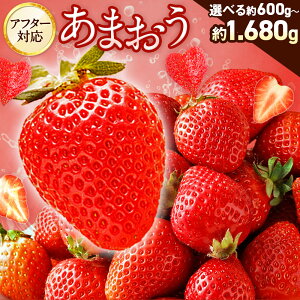 yӂ邳Ɣ[ŁzyAt^[Ήzs\ 嗱 s Iׂeʂ܂ 1,400g^1,680g ʌ肠܂ 600g ʍ͔|܂ 1,200g i2L,Of,DX fbNXj܂  