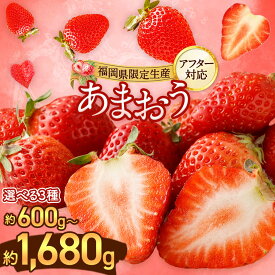 【ふるさと納税】【寄附額改定↓】【アフター対応】＜先行予約＞ 大粒 不揃い 選べる大容量あまおう 1,400g／1,680g 数量限定あまおう 600g 特別栽培あまおう 1,200g （2L,グランデ,DX デラックス) あまおう いちご イチゴ 苺 【2026年1月上旬～3月下旬発送予定】