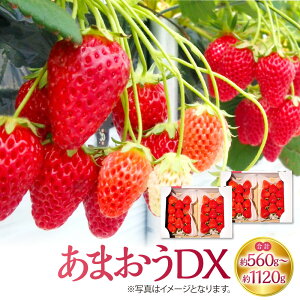 yӂ邳Ɣ[Łz܂DX v 560g  v 1,120g 1pbN 280g  ܂  C`S Xgx[ t[c ʕ ①  _  y2026N2{`4{