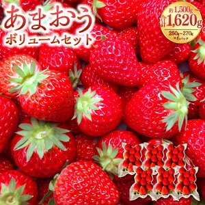 yӂ邳Ɣ[Łz܂{[Zbg 250-270g×6pbN v1500-1620g ܂  C`S  Xgx[ x[ t[c ʕ { ①  _  y2026N2{