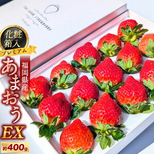 yӂ邳Ɣ[Łzϔv~A܂ 400g×1pbNyMtgEjEpz EXO[h  C`S   ʕ ʎ t[c ① Y Y B  