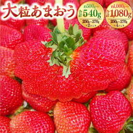 【ふるさと納税】＜選べる容量＞ 大粒あまおう 約250-270g 2パック 4パック 合計約500-540g 約1,000-1,080g あまおう いちご イチゴ 苺 大粒 ストロベリー ベリー フルーツ 果物 旬 冷蔵 送料無料【2026年2月上旬～4月上旬発送予定】