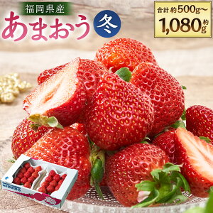 yӂ邳Ɣ[ŁzYy~z܂ 2pbN  4pbN i1pbN250g`270gj C`S  x[ ʕ  t[c ① Y B  _  y202