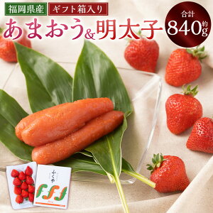 yӂ邳Ɣ[Łz܂ Mtg 12-15i300gjӂ□̖qi540gj  C`S  ʕ q ߂񂽂 т̂ Zbg Mtg p B  _ 