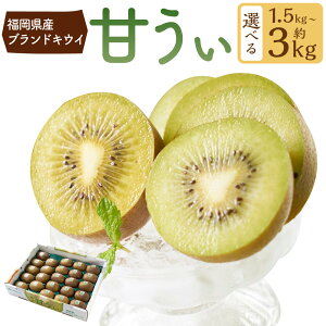 yӂ邳Ɣ[ŁzIׂ遄 YuhLECEÂ 1.5kg ܂ 3kg i12-15 ܂ 24-33ʁj LEC LECt[c ʕ  t[c ӂ[ 퉷  _ 