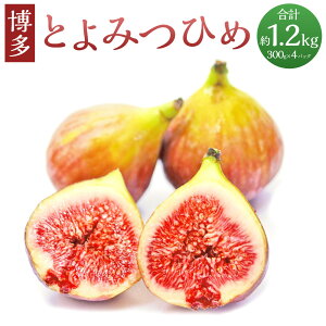 yӂ邳Ɣ[Łz uh  Ƃ݂Ђ v 1.2kg 300g×4pbN  C`WN ԉ ʕ t[c  Y  B ① _  y2025
