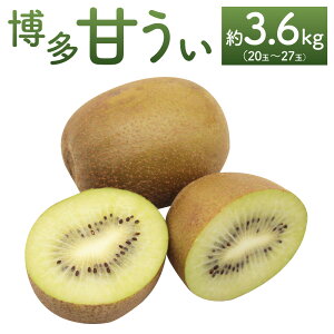 yӂ邳Ɣ[Łz ÂiLECt[cj 3.6kg LEC ʕ  t[c  Y  B ① _  y2025N11{`11{\z