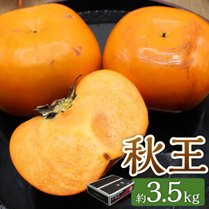 yӂ邳Ɣ[Łzuh`uHv3.5kg Ê` ` JL  ʕ  t[c fU[g XC[c ① _  y2025N10{`11{\z075-1676 yVX[p[SALE 