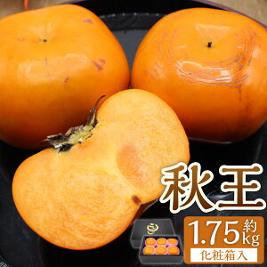 yӂ邳Ɣ[ŁzH̃t[c̉lEuh`uHvϔ 1.75kg Ê` ` JL  ʕ  t[c fU[g XC[c  ① _  y2025N10{`11