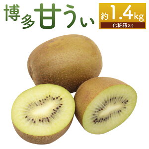 yӂ邳Ɣ[Łz uhLECt[cuÂvϔ 9 1.4kg LEC ʕ  t[c   v[g Y  B ① _  