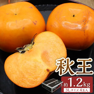 yӂ邳Ɣ[Łzuh`uHv1.2kg 3LTCY4ʓ Ê` ` JL  ʕ  t[c fU[g XC[c ① _  y2025N10{`11{\z