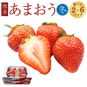 yӂ邳Ɣ[ŁzIׂeʁ܂i~j250g`270g×2pbN^4pbN^6pbN ܂  C`S  t[c ʕ  ①   _  y2025N12