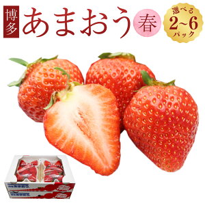 yӂ邳Ɣ[ŁzIׂeʁ܂itj250g`270g×2pbN^4pbN^6pbN ܂  C`S  t[c ʕ  ①   _  y2026N2