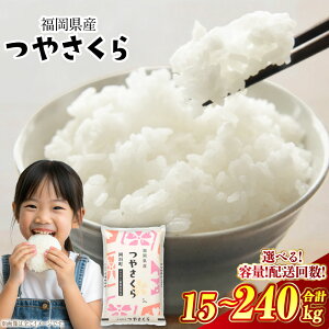 �y�ӂ邳�Ɣ[�Łz���I�ׂ���e�ʁE����ց��������Y �₳���� 1�񂠂���5kg×1�� / �v10kg�i5kg×2�܁j / �v20kg�i5kg×4�܁j 1������ 3�� 6�� 12�� ���� �� ���� �u�����h�� ���������� 10�� ���� ��