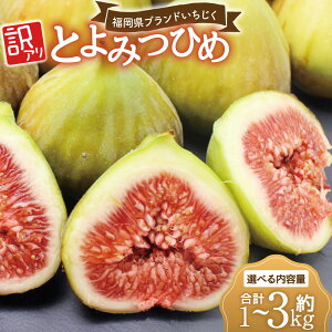 �ԗ�i�摜