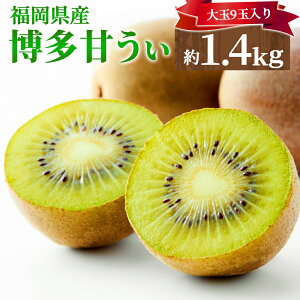 yӂ邳Ɣ[Łz Â v1.4kg  9ʓ LEC t[c ʕ Y BY Y ① s\  y2025N10{`11{\z075-1676 yVX[p[SALE 9J