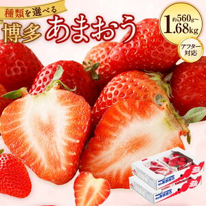 yӂ邳Ɣ[ŁzyAt^[Ήz Iׂ遄  ܂ v560g`1.68kg 280g×2`6pbN DX㋉i   C`S t[c ʕ  Y B Y ① s\ 