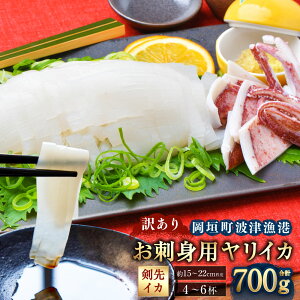 yӂ邳Ɣ[Łzy󂠂z_gË` hgp CJ v700g 15cm`22cmx 4`6t 󂠂 s  CJ Nx̂܂3D}Ⓚ   t VՂ |̕ Y C