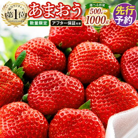 【ふるさと納税】【数量限定】＜選べる容量＞福岡県産 あまおう （250g×2パック（540g） ／ 250g×4パック（1080g） ） アフター対応 6000〜9000円 いちご 苺 イチゴ フルーツ 果物 春 旬 福岡県産 九州 国産 送料無料 【2027年2月上旬～4月上旬順次発送予定】