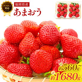 【ふるさと納税】【アフター対応】あまおう 〈選べる〉 約560g または 約1680g 1パックあたり約280g 2パック 6パック 6000円 〜 12000円 6000円 〜 1万2000円 いちご イチゴ 苺 フルーツ 果物 国産 九州 福岡県産 冷蔵 GAP認定 送料無料 【2026年1月上旬～3月下旬発送予定】