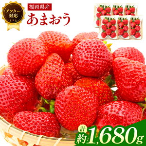 yӂ邳Ɣ[ŁzyAt^[Ήz܂ qIׂr 560g ܂ 1680g 1pbN280g 2pbN 6pbN  C`S  t[c ʕ Y B Y ① uh GAPF 