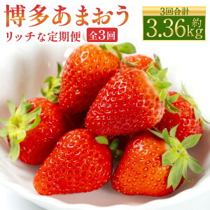 yӂ邳Ɣ[Łz ܂ b` 3  v3.36kg v12pbN ܂  C`S  x[ ʕ  t[c fU[g   ① Y B  