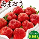 【ふるさと納税】数量限定福岡県産あまおう合計1080g270g×4パックいちご苺イチゴフルーツ果物福岡県産九州国産送料無料【2月～3月順次発送】 