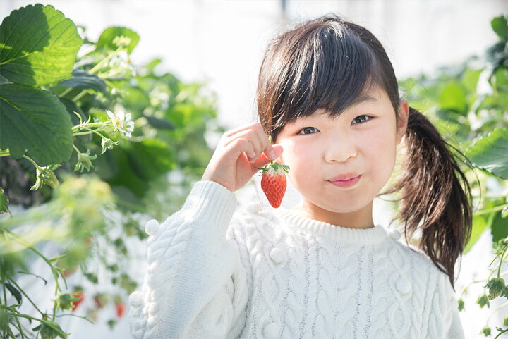 楽天市場】【ふるさと納税】【2023年2月~3月順次発送】 先行予約受付中! 数量限定 福岡県産 あまおう 合計1080g 270g×4パック いちご 苺 イチゴ フルーツ 果物 春 旬 福岡県産 九州 国産 送料無料 : 福岡県遠賀町 楽天市場】【ふるさと納税】【2023年2月~3月順次発送】 先行予約受付中! 数量限定 福岡県産 あまおう 合計1080g 270g×4パック いちご 苺 イチゴ フルーツ 果物 春 旬 福岡県産 九州 国産 送料無料 : 福岡県遠賀町