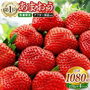 yӂ邳Ɣ[Łzyʌ/ʊ񕍊zzY ܂ v1080g 270g×4pbN At^[ۏ Ή   C`S t[c ʕ t { Y B Y  y2026N2{`4