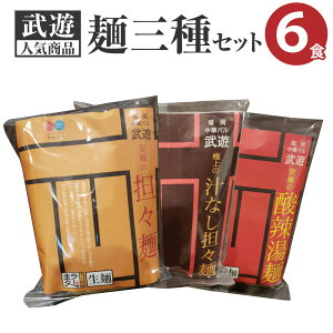 【ふるさと納税】麺3種セット 合計6食分 担々麺 担担麺 汁なし担々麺 酸辣湯麺 タンタン麺 タンタンメン スーラータンメン ラーメン 本格中華 本格派 拉麺 人気商品 送料無料