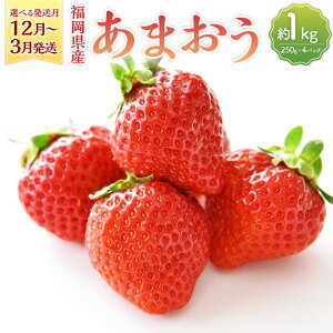 yӂ邳Ɣ[ŁzyIׂ锭zY ܂ 1kg 250g×4pbN ʕ t[c   C`S Xgx[ x[  fU[g Y BY  y2025N12{