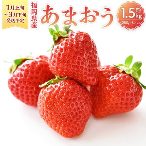 yӂ邳Ɣ[ŁzY ܂ 1.5kg 250g×6pbN ʕ t[c   C`S Xgx[ x[  fU[g Y BY  y2026N1{`3{\