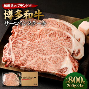 yӂ邳Ɣ[Łza T[CXe[L v800g (200g×4)   a Xe[L Y BY Y Ⓚ  yVX[p[SALE 9J