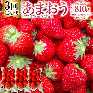 yӂ邳Ɣ[Łzy3ցz܂ 750`810gi250`270g×3pbNj×3 v2250g`2430g ܂ GKi   Xgx[ x[ t[c ʕ  B Y Y 