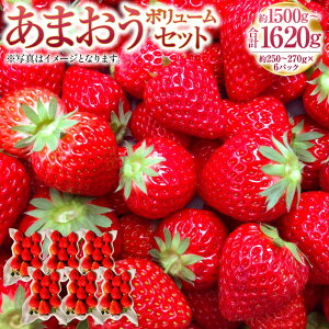 【ふるさと納税】あまおうボリュームセット 約250〜270g×6パック 合計約1500〜1620g あまおう G規格 いちご イチゴ 苺 ストロベリー ベリー フルーツ 果物 春 旬 九州 国産 福岡県産 送料無料【202