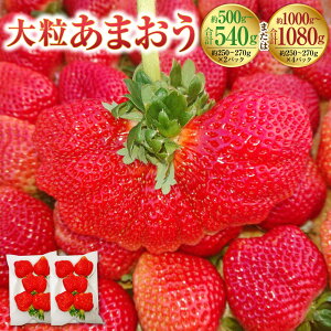 yӂ邳Ɣ[Łz嗱܂ 250`270g×4pbN v1000`1080g ܂  C`S  Xgx[ x[ t[c ʕ t { B Y Y y2026N2{`4