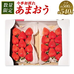 yӂ邳Ɣ[ŁzĜꂠ܂ 2pbN 500`540g i250`270g×2pbNj yʌzy2025N12{`2026N1{\z ^   C`S ܂  ʕ t[