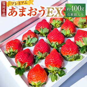 yӂ邳Ɣ[Łzϔ v~A܂ 400g × 1pbNyMtgEjEpzy2026N2{`2026N4{\z ^   C`S ܂ ʕ  t[