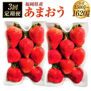 yӂ邳Ɣ[ŁzIׂeʁy3ցz܂ i500`540g×3 i1500g`1620gj ^ 750`810g×3 i2250g`2430gj jy2026N2{`4{\z ^ ܂ GKi 