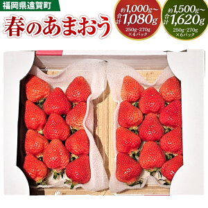 yӂ邳Ɣ[ŁzqIׂeʁrt̂܂ 2LE2AEGKiȏ 250`270g×4pbN / 250`270g×6pbNv1000`1080g / 1500g`1620g ܂  x[ t[c ʕ Y 