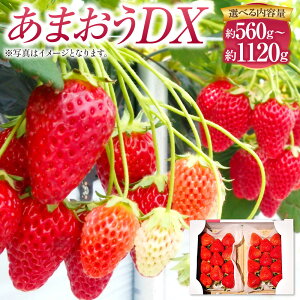 【ふるさと納税】あまおうDX 〈選べる〉 約280g×2〜4パック 合計約560g〜1120g あまおう いちご イチゴ 苺 ストロベリー ベリー フルーツ 果物 春 旬 九州 国産 福岡県産 送料無料【2026年2月上旬