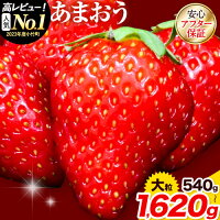 【ふるさと納税】【TVで紹介されました！】＼2026年予約返礼品／いちご ...