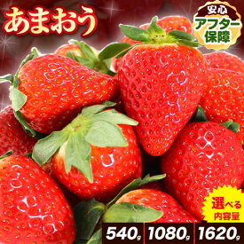 【ふるさと納税】いちご イチゴ あまおう 苺 540g から1620g 選べる 内容量 苺 送料無料 【着日指定不可】《2024年3月中旬-4月中旬頃出荷》 イチゴ 果物 フルーツ 福岡県 鞍手郡 小竹町