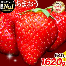 【ふるさと納税】【TVで紹介されました！】いちご あまおう 苺 選べる内容量 540g 1080g1620g 選べる 定期便 内容量 苺 送料無料 【着日指定不可】《2月中旬-4月末頃出荷》 イチゴ 果物 フルーツ 福岡県 鞍手郡 小竹町