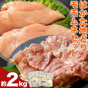 yӂ邳Ɣ[Łz{ ͂nǂ lZbg  ނ˓ 2kg s30ȓɏoח\(yj)t MEATPLUS  ƎS | n{ { Ƃ