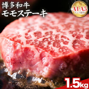 yӂ邳Ɣ[Łza A5 A4  Xe[L  500g 1kg 1.5kg MEAT PLUSs30ȓɏoח\(yj)t ƎS | a a   Xe[L 