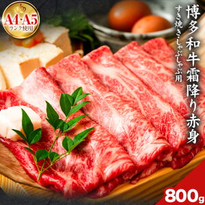 yӂ邳Ɣ[Łz󂠂 a A5 A4 ~ Ԑg Ԃԗp Ăp 400g 800g MEAT PLUSs30ȓɏoח\(yj)t ƎS | a a    