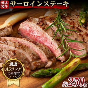 yӂ邳Ɣ[ŁzaT[CXe[L 250g (250g×1)s30ȓɏoח\(yj)t| a MEAT PLUS  T[C A5N ̂ݎgp I